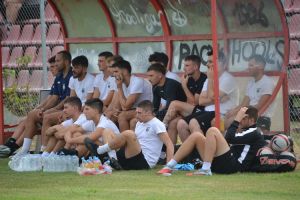 asteras karditsas-miltiadhs 8